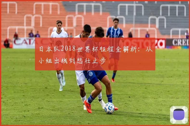 日本队2018世界杯征程全解析:从小组出线到悲壮止步