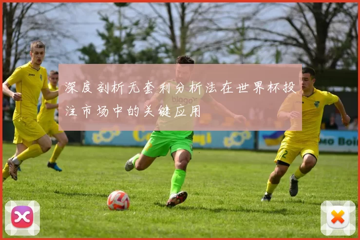 深度剖析无套利分析法在世界杯投注市场中的关键应用