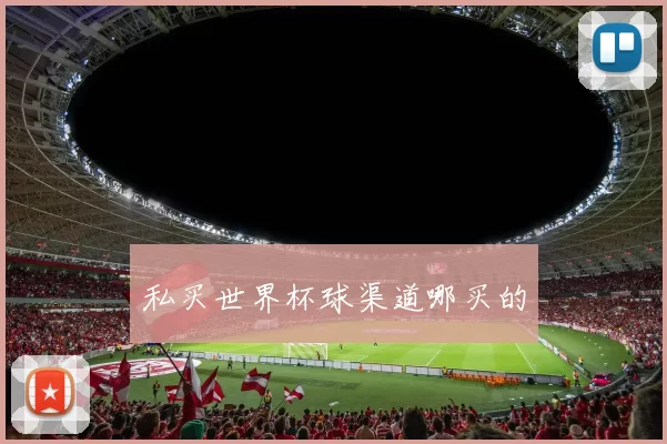 私买世界杯球渠道哪买的
