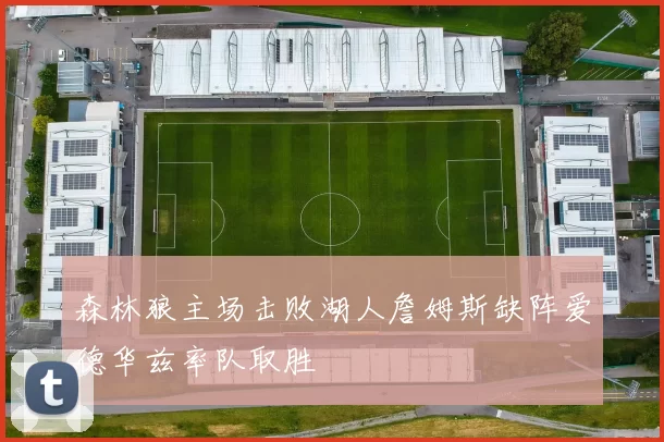 森林狼主场击败湖人詹姆斯缺阵爱德华兹率队取胜