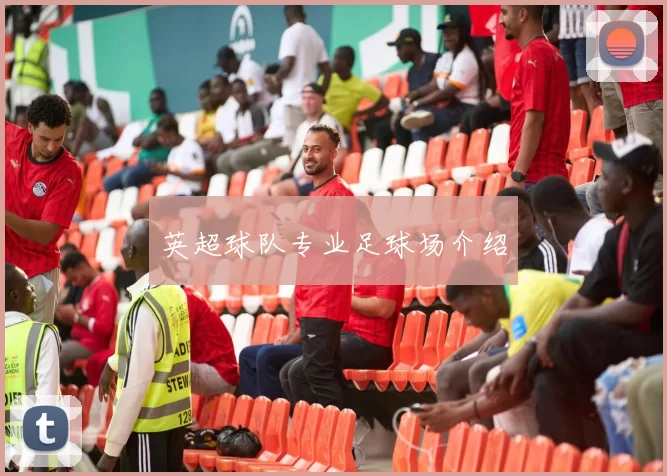 英超球队专业足球场介绍