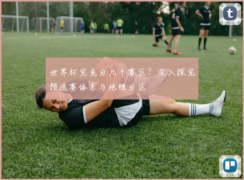 世界杯究竟分几个赛区？深入探究预选赛体系与地理分区