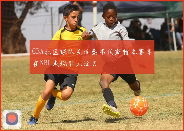 CBA北区球队关注泰韦伯斯特本赛季在NBL表现引人注目