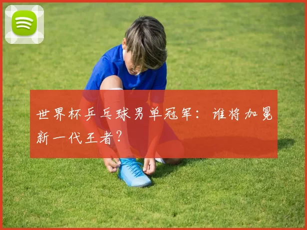 世界杯乒乓球男单冠军:谁将加冕新一代王者?