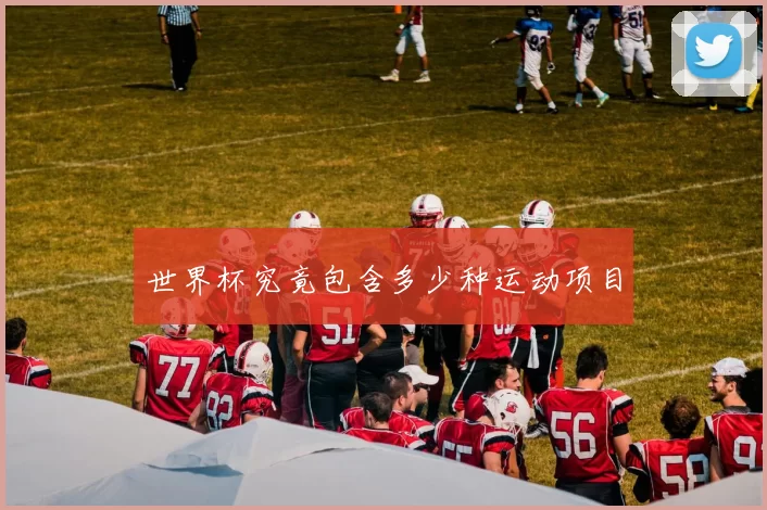 世界杯究竟包含多少种运动项目