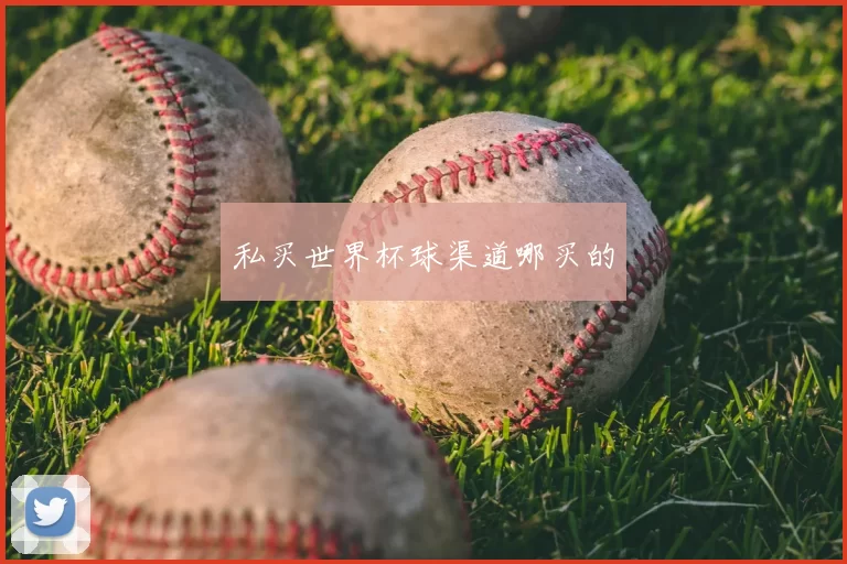 私买世界杯球渠道哪买的