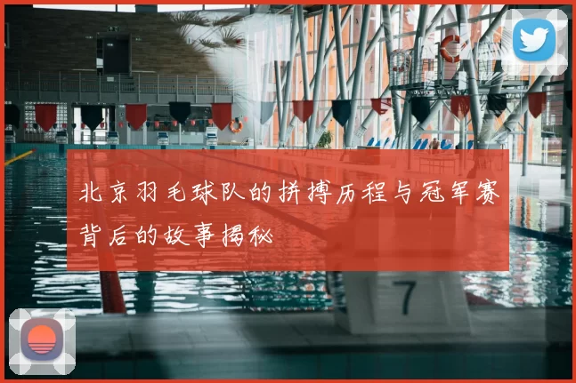 北京羽毛球队的拼搏历程与冠军赛背后的故事揭秘