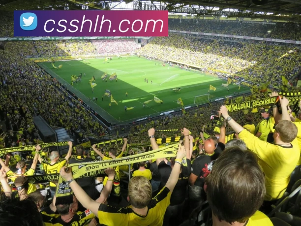 重返巅峰时刻 CBA足球元老队经典赛事精彩回顾与传奇瞬间解析