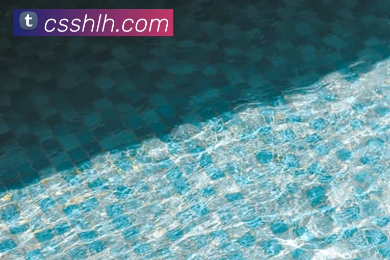 多媒体互动体验